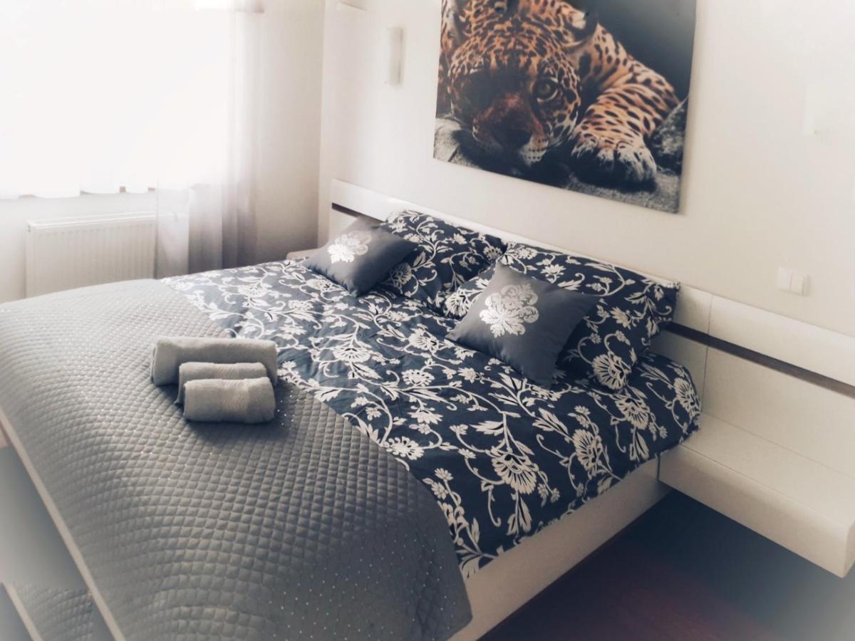 Appartement Apartament Sloneczny à Ełk Extérieur photo